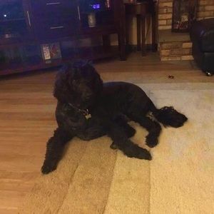 Meet your Posher, Carole